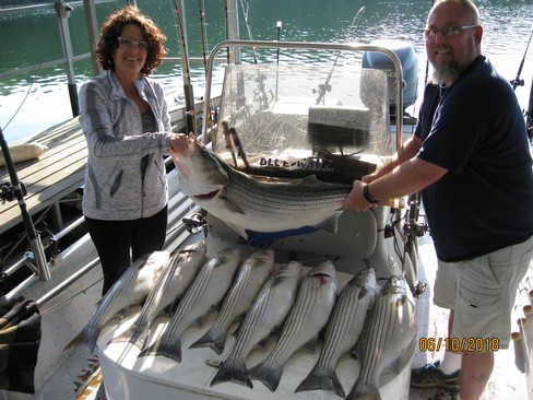 Nice Striped Bass